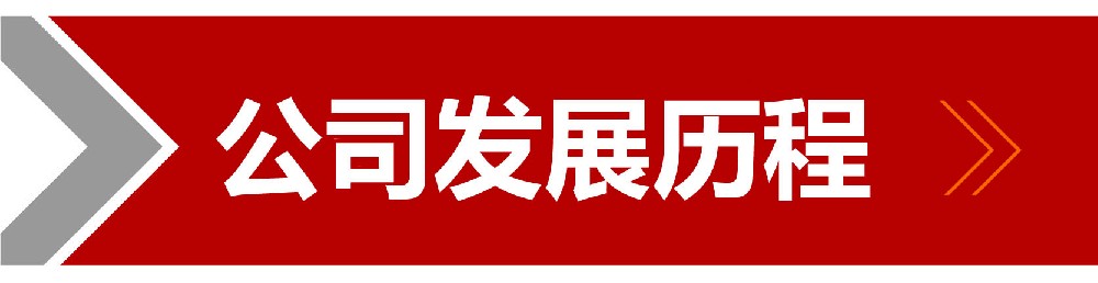 发展历程